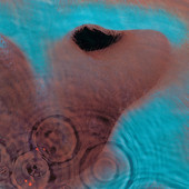 Pink Floyd | Meddle (Remastered)
